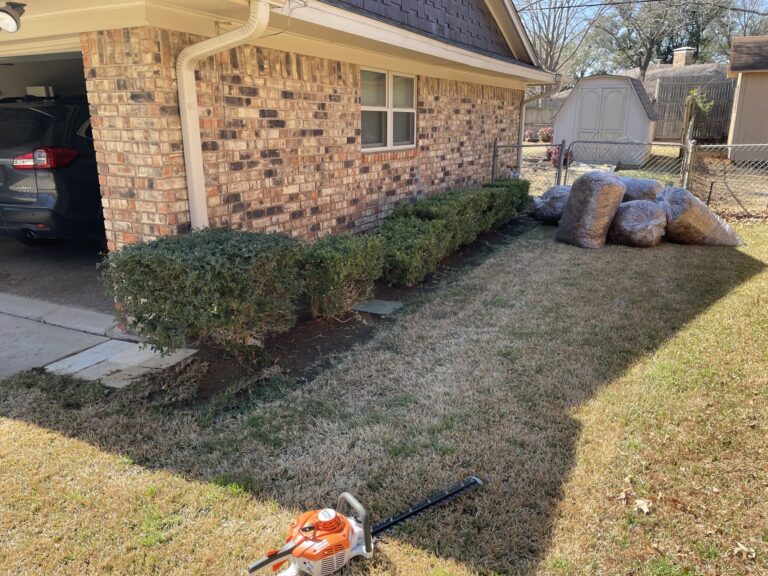 Trimmed shrubs and bagged yard debris after a Barefoot cleanup