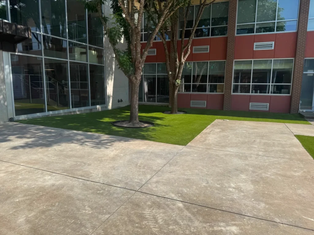 Artificial turf courtyard with edged tree rings installed at a North Texas campus