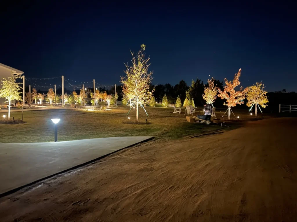 Warm white tree uplighting and string lights across an estate lawn at dusk in North Texas