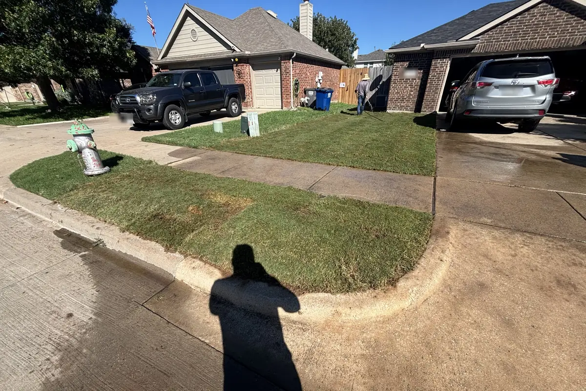 New sod on a corner curb strip around a fire hydrant and across the front yard of a Van Alstyne, TX home