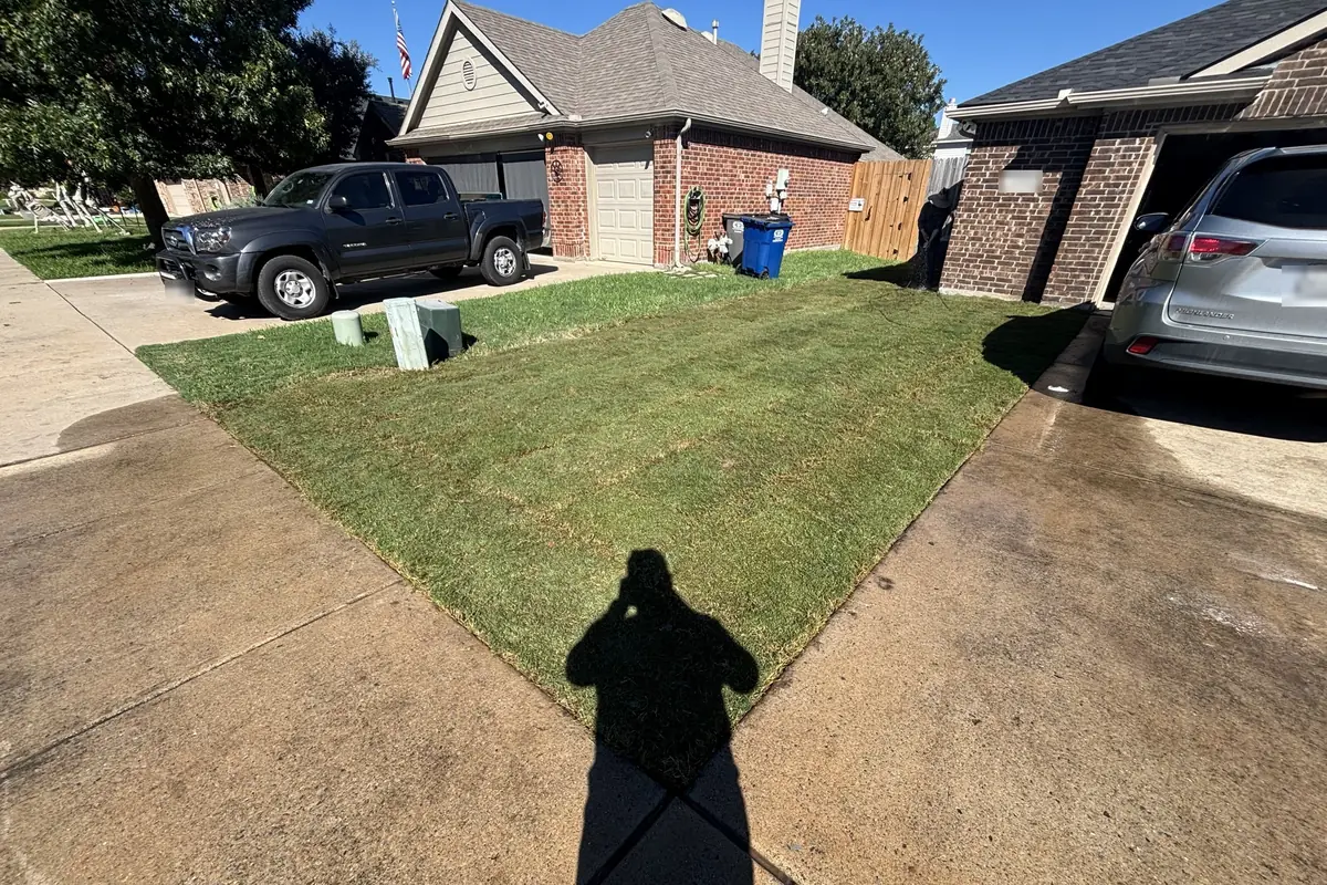 Finished sod installation on a Van Alstyne, TX front yard between the driveway and walkway, with tight seams and clean edges
