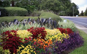 Beautiful floral arrangement/gardens located in South Georgia and North Florida