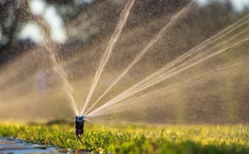 Automatic sprinkler system watering the lawn. Lawn irrigation in public park.