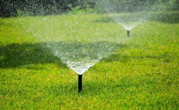 Sprinklers are actively watering a lush green lawn, demonstrating the importance of irrigation in maintaining healthy and vibrant grass. The scene highlights the role of modern garden maintenance techniques in creating a beautiful and well-kept outdoor environment. This image captures the freshness and vitality of a well-irrigated lawn, emphasizing the benefits of proper water management for greenery.